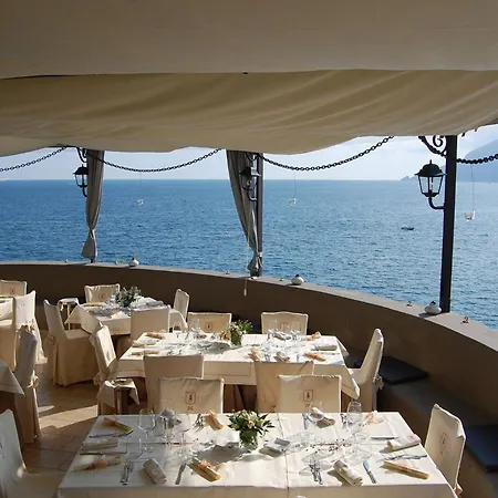 Carlotta 4*